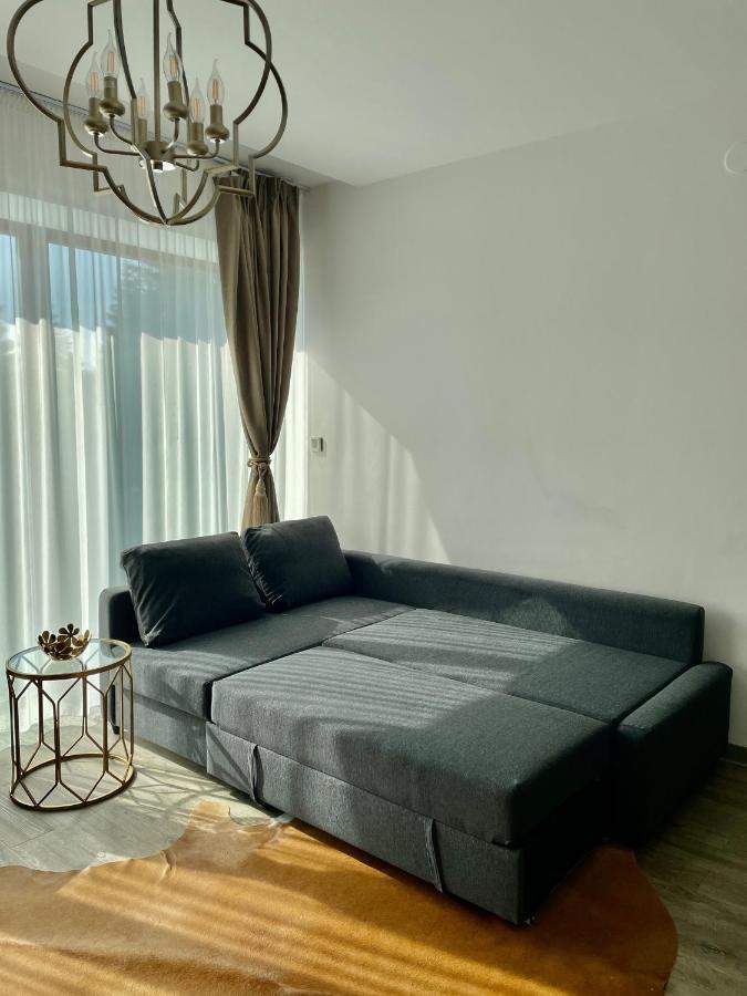 Luxury Silver Mountain Apartment Poiana Brasov Eksteriør bilde