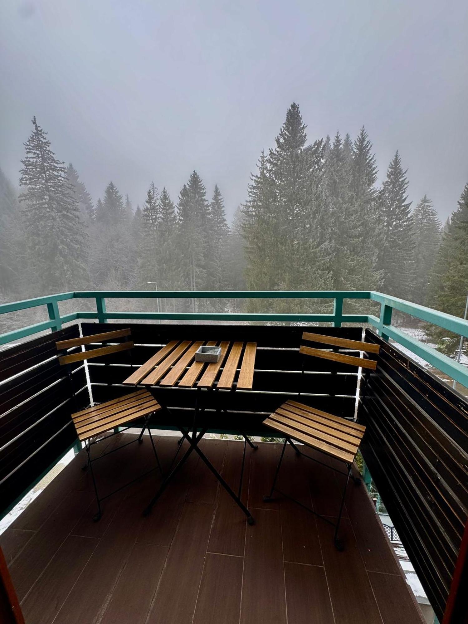 Luxury Silver Mountain Apartment Poiana Brasov Eksteriør bilde